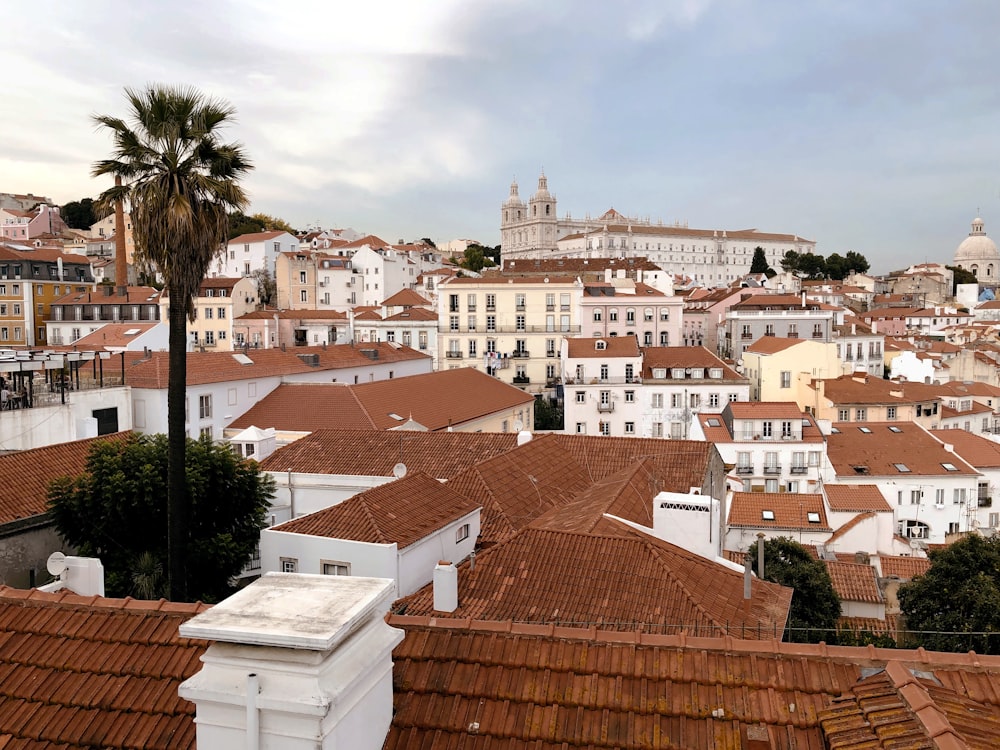 a view of a city from the top of a building