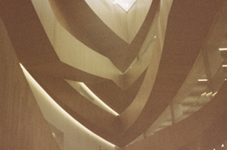 An intricate interior architectural structure featuring sweeping, curved elements with a modern design. Light filters through an upper opening, casting soft shadows and highlights on the wooden surfaces.