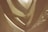 An intricate interior architectural structure featuring sweeping, curved elements with a modern design. Light filters through an upper opening, casting soft shadows and highlights on the wooden surfaces.
