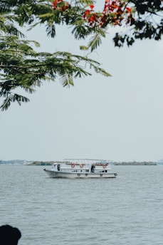 A white boat is cruising on a large body of water. The boat is equipped with lifebuoys along the sides, and several passengers are visible. Overhead, tree branches with green leaves and clusters of red flowers frame the scene. In the background, a low-lying landmass extends across the horizon.