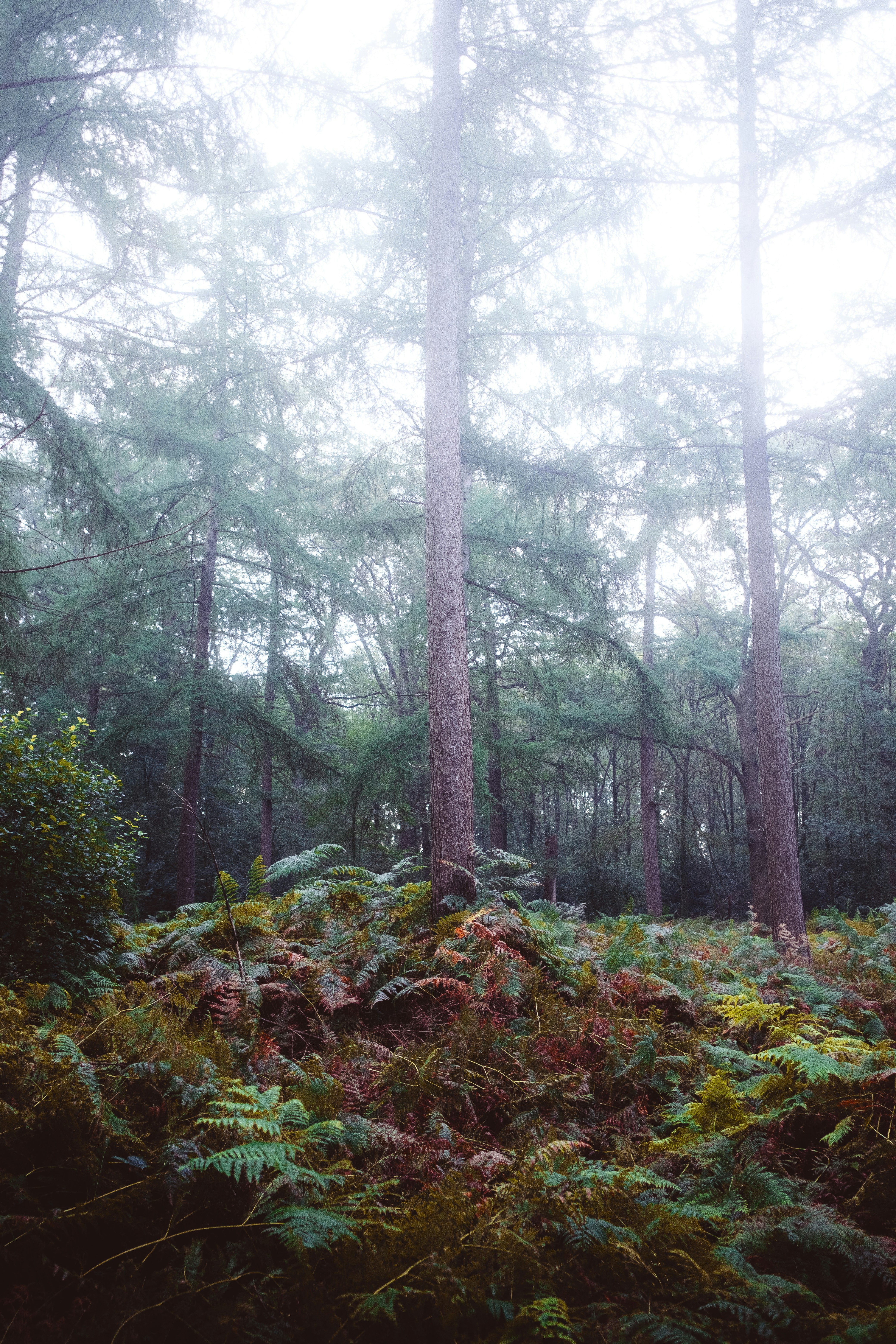 Photo by visualsbying