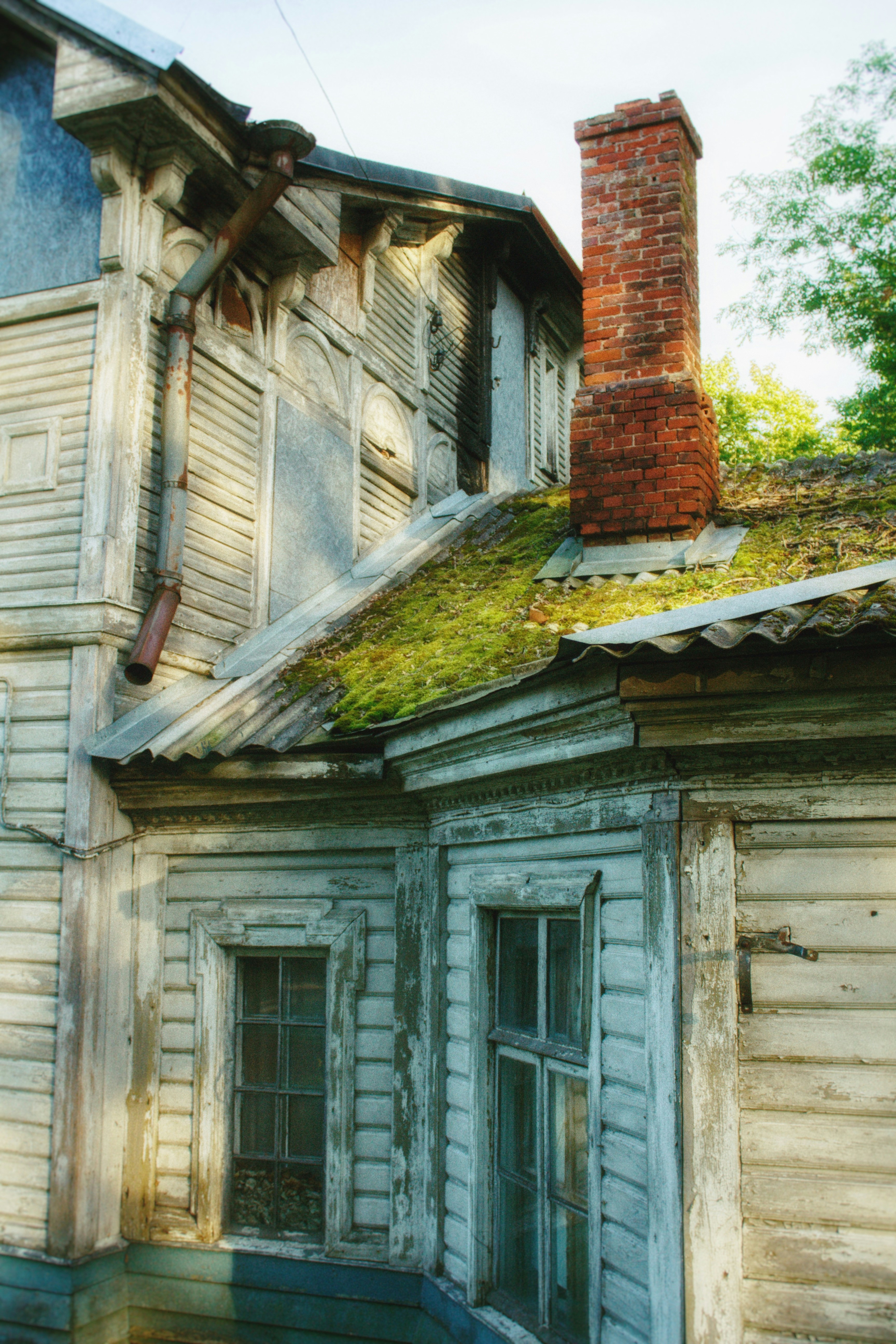 Weathered, moss-covered roof before replacement