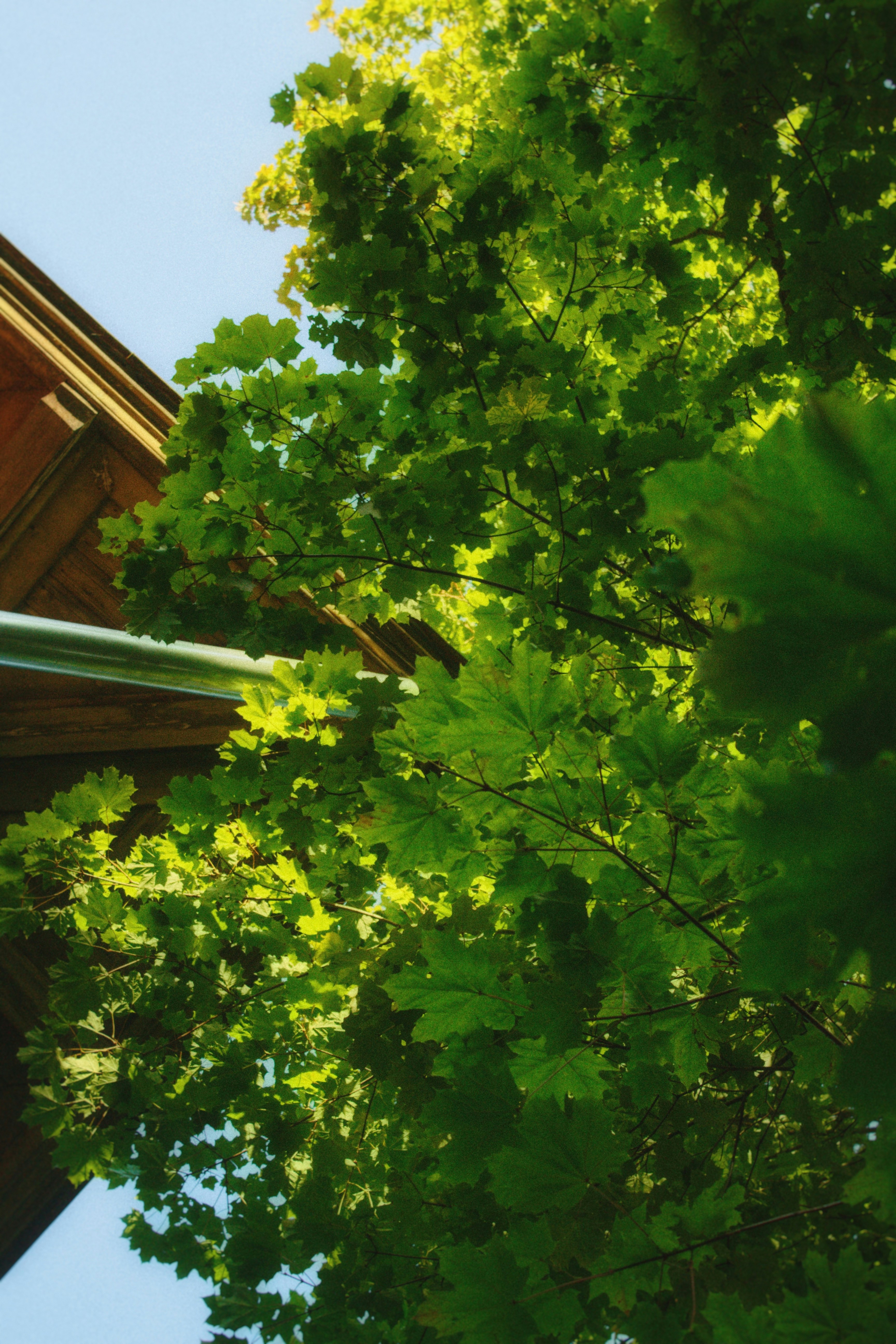 Photo by maximyuryshev