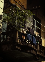 A small, rustic balcony with metal railings showcasing potted plants and clothes hanging on a line to dry. The surrounding walls have an aged appearance with some wear and discoloration. The atmosphere suggests a quiet urban setting, possibly in an older building.