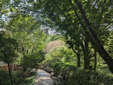 A serene outdoor setting in Helensburgh with a peaceful walking path.