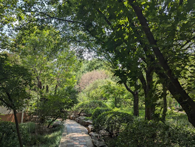 A serene walking path in the community.
