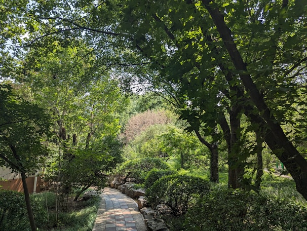 A serene path lined with lush green trees and shrubs, dappled with sunlight filtering through the canopy. The path is paved with stones and curves gently through the natural landscape, providing a peaceful and tranquil setting.