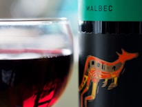 A close-up view of a glass filled with red wine and a bottle with a turquoise label featuring an illustration of an orange animal. The word 'Malbec' is printed on the label.