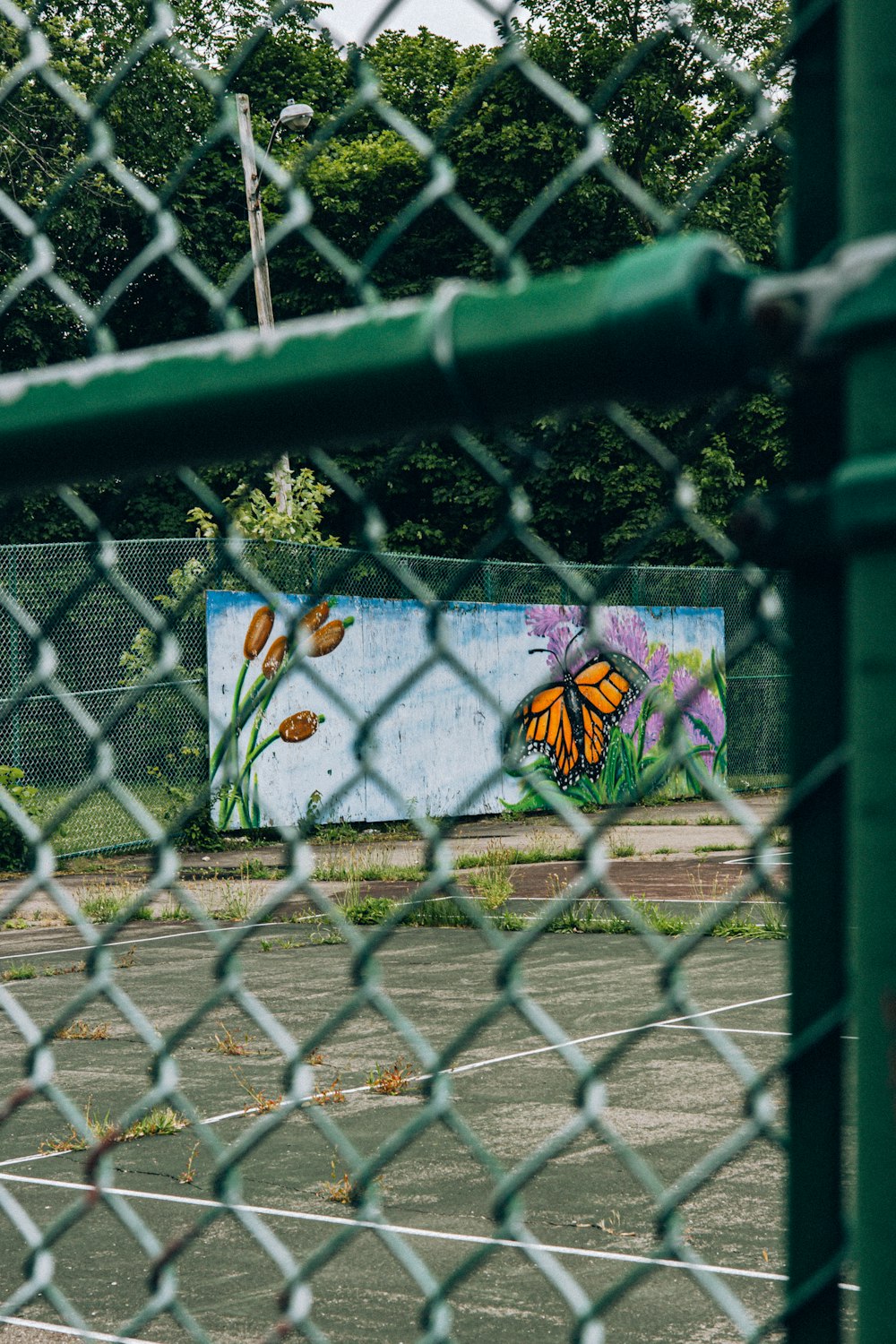 un campo da tennis con un murale sul lato di esso