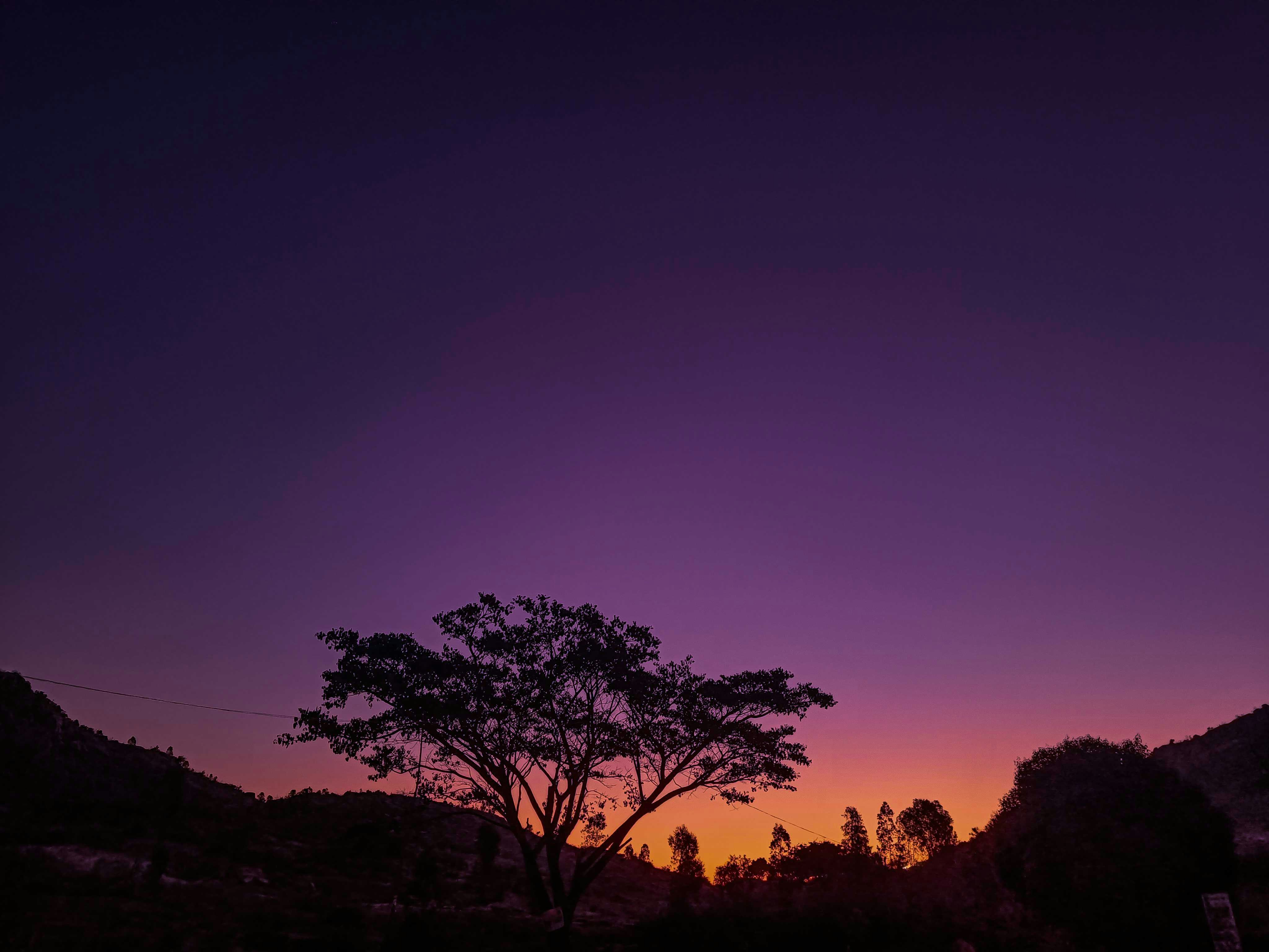 Photo by yashusharma16