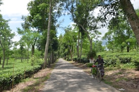 A narrow rural path is lined with lush green trees and tea bushes. A person, possibly a farmer, is pushing a bicycle loaded with goods, while another person is walking in the background carrying a bundle of leaves.