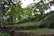 A lush, green landscape featuring a tea plantation with neatly arranged rows of tea bushes extending across gently rolling hills. Tall trees with vibrant green foliage are scattered amongst the plantation, providing a sense of depth and dappled shade.