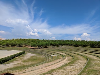 A welcoming park entrance with lush greenery and clear pathways under a bright sky.
