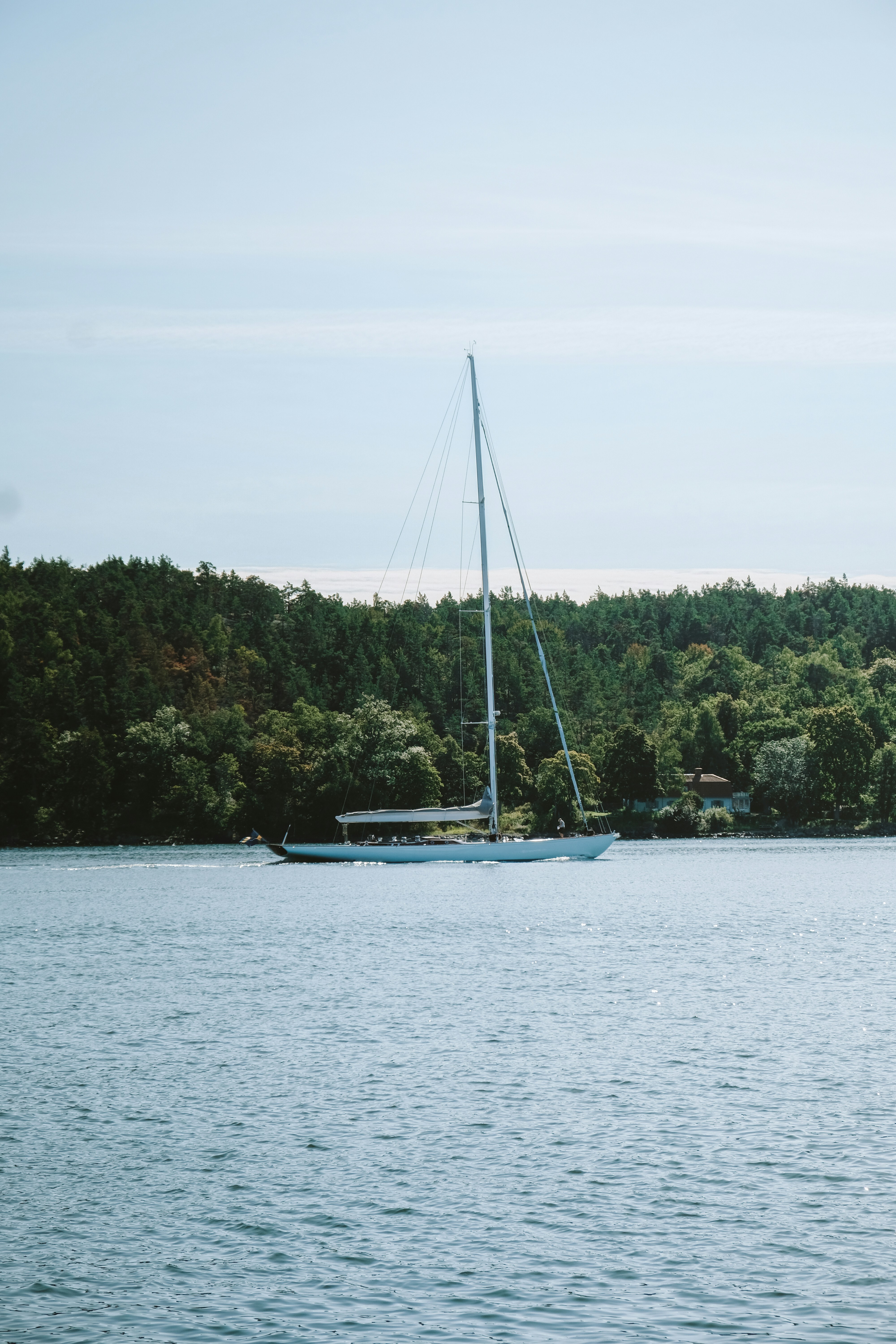 Photo by niklasjesper