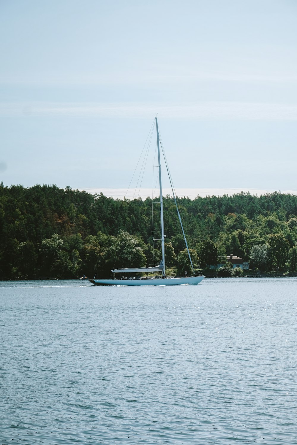 a sailboat on a lake with trees in the background