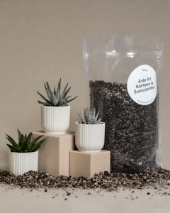 Sachunterricht Set