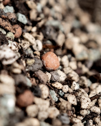 Close-up of freshly crushed stone ready for use in construction materials.