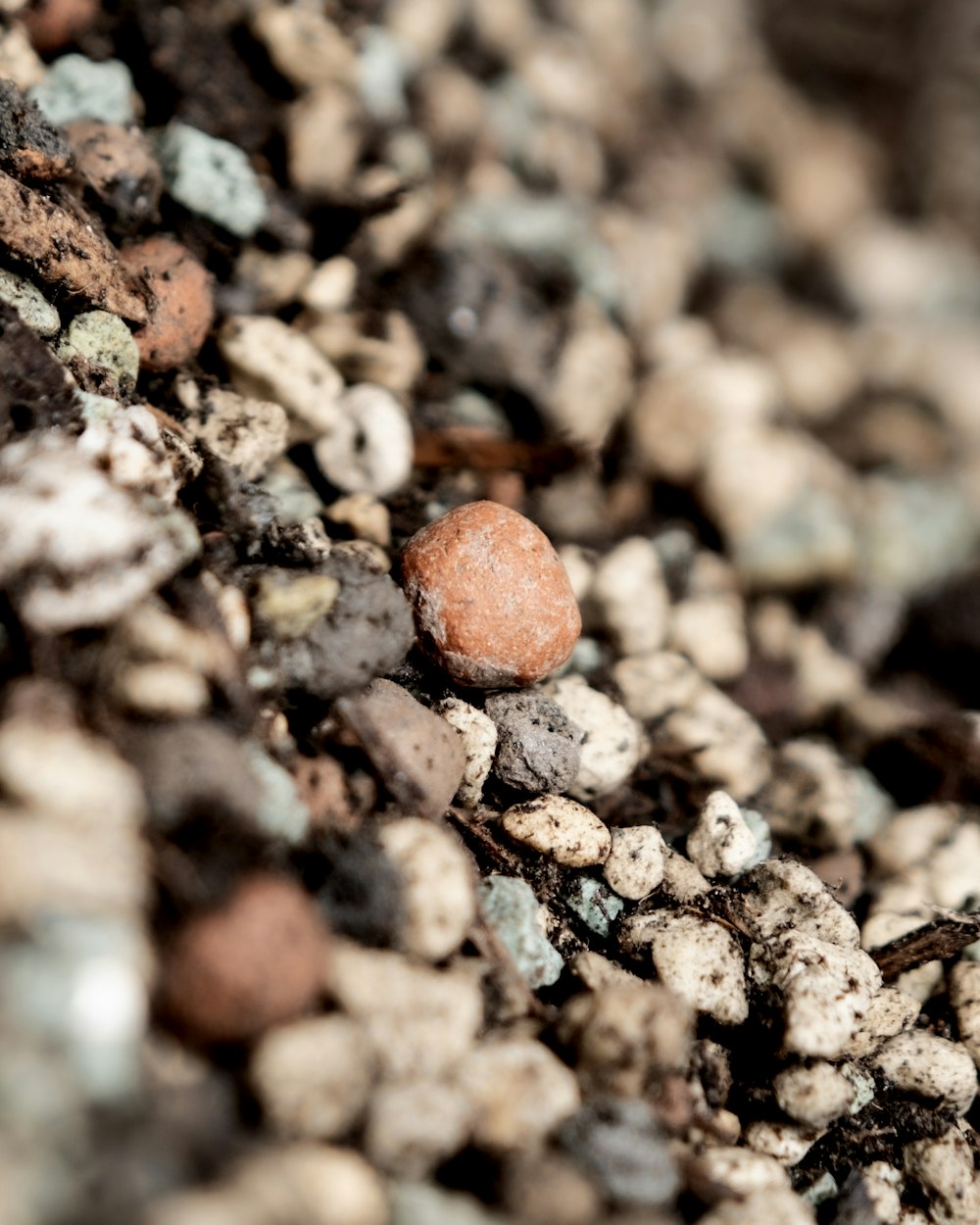 a close up of rocks and gravel