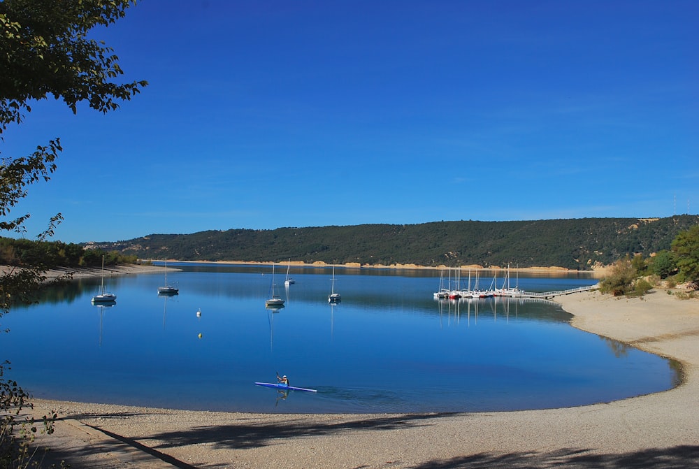 a body of water surrounded by trees and boats