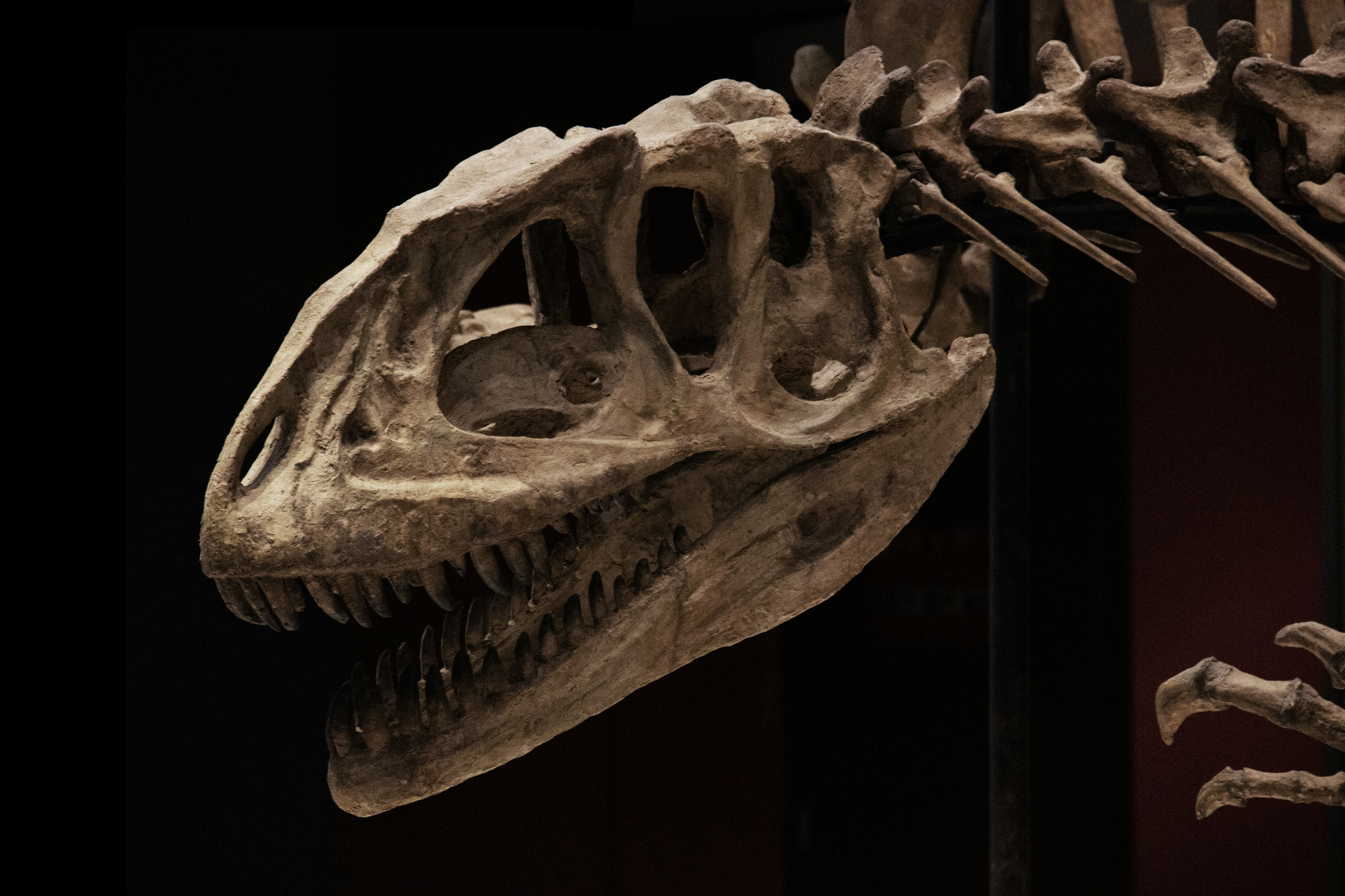 Photo by wangzuokang