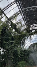 A greenhouse environment with lush, dense greenery climbing along metal supports. The space is enclosed by a glass ceiling with a grid-like structure, allowing plenty of natural light. Water or mist seems to be sprayed or falling from the top right corner, adding to the humid, tropical ambiance.