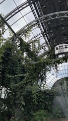 A greenhouse environment with lush, dense greenery climbing along metal supports. The space is enclosed by a glass ceiling with a grid-like structure, allowing plenty of natural light. Water or mist seems to be sprayed or falling from the top right corner, adding to the humid, tropical ambiance.