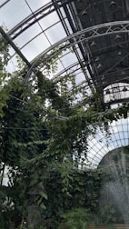 A greenhouse environment with lush, dense greenery climbing along metal supports. The space is enclosed by a glass ceiling with a grid-like structure, allowing plenty of natural light. Water or mist seems to be sprayed or falling from the top right corner, adding to the humid, tropical ambiance.