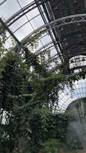 A greenhouse environment with lush, dense greenery climbing along metal supports. The space is enclosed by a glass ceiling with a grid-like structure, allowing plenty of natural light. Water or mist seems to be sprayed or falling from the top right corner, adding to the humid, tropical ambiance.