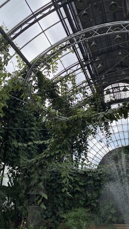 A greenhouse environment with lush, dense greenery climbing along metal supports. The space is enclosed by a glass ceiling with a grid-like structure, allowing plenty of natural light. Water or mist seems to be sprayed or falling from the top right corner, adding to the humid, tropical ambiance.
