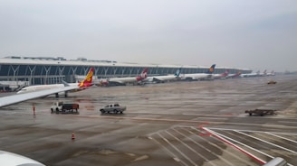 Several airplanes are parked at a large airport terminal with a modern architectural design. The wet runway reflects the cloudy sky, indicating recent rain. Ground service vehicles are present near the planes, and a few airport staff are visible on the tarmac.