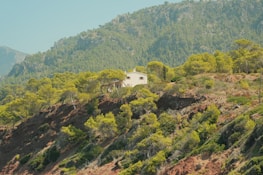 a house on a hill surrounded by trees