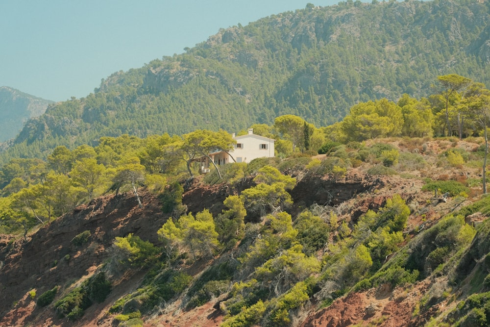 a house on a hill surrounded by trees