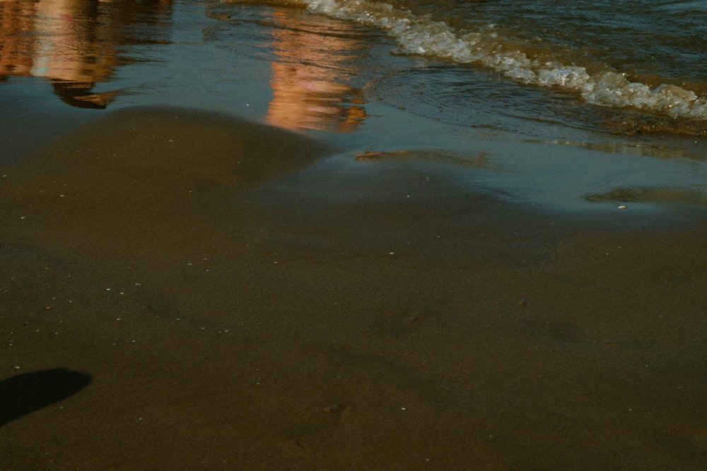 a person standing on a beach next to the ocean