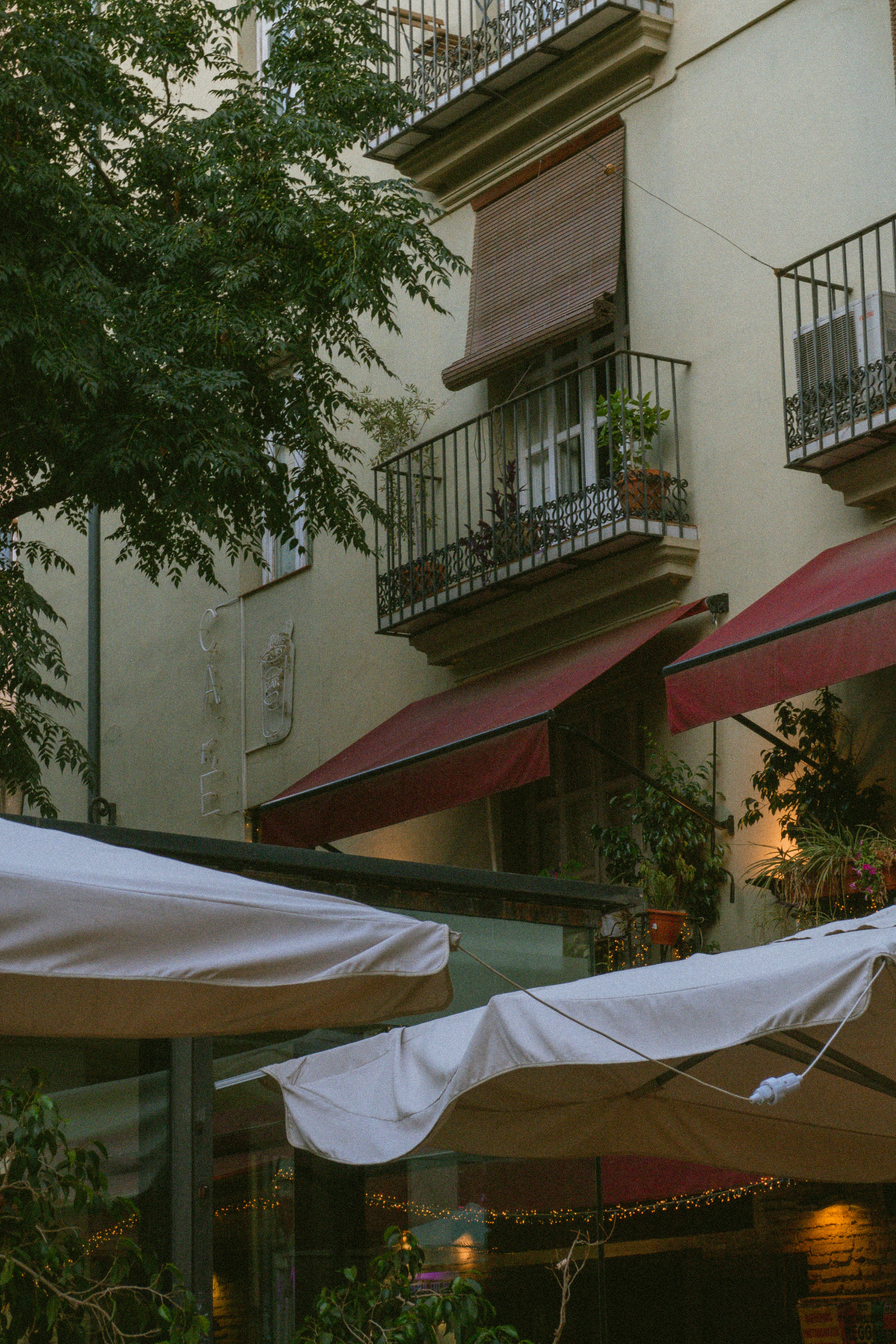 Photo by seenthroughmpk