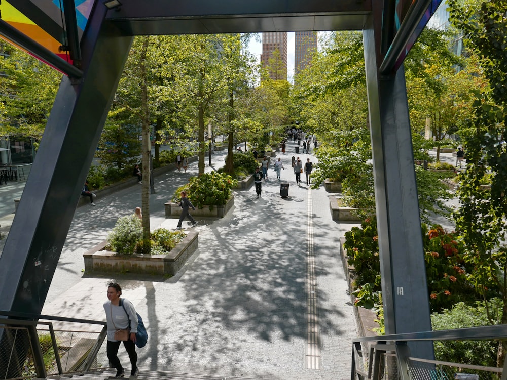 a group of people walking down a walkway next to trees