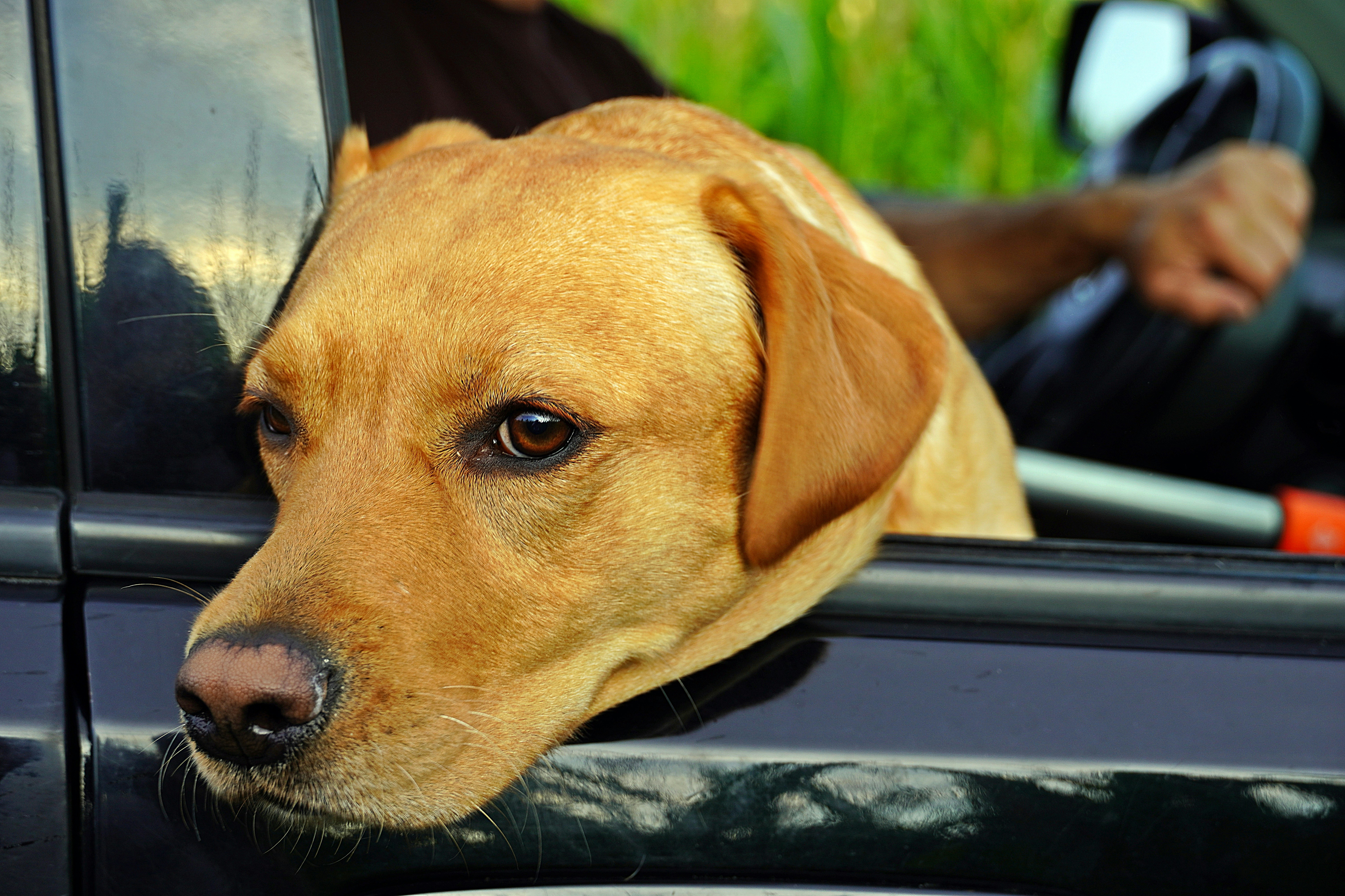 4) Método LIMA y Entrenamiento Humanitario: el “cómo” detrás del cambio