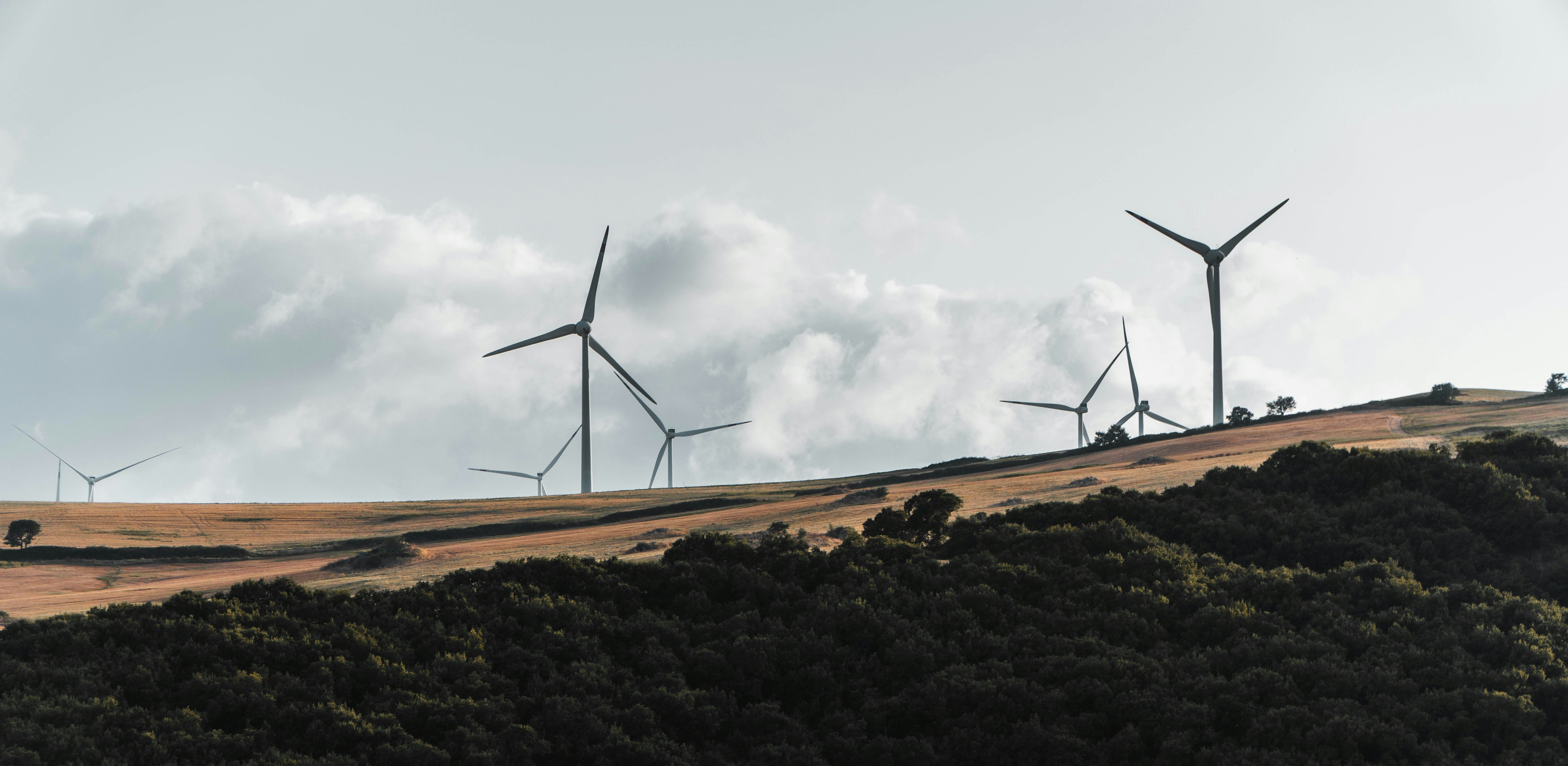 a group of wind turbines on a hill