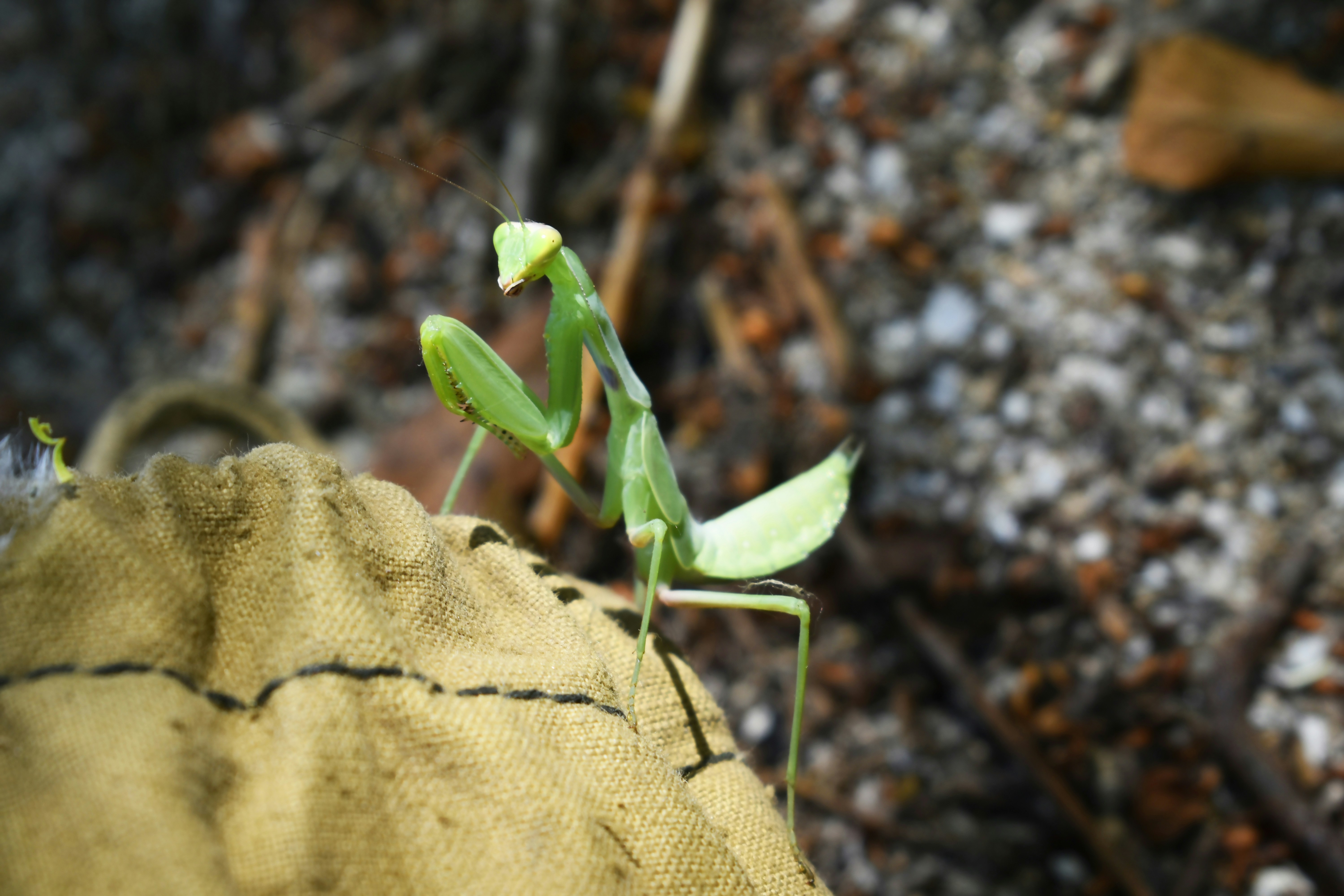 Photo by tatjanatapero