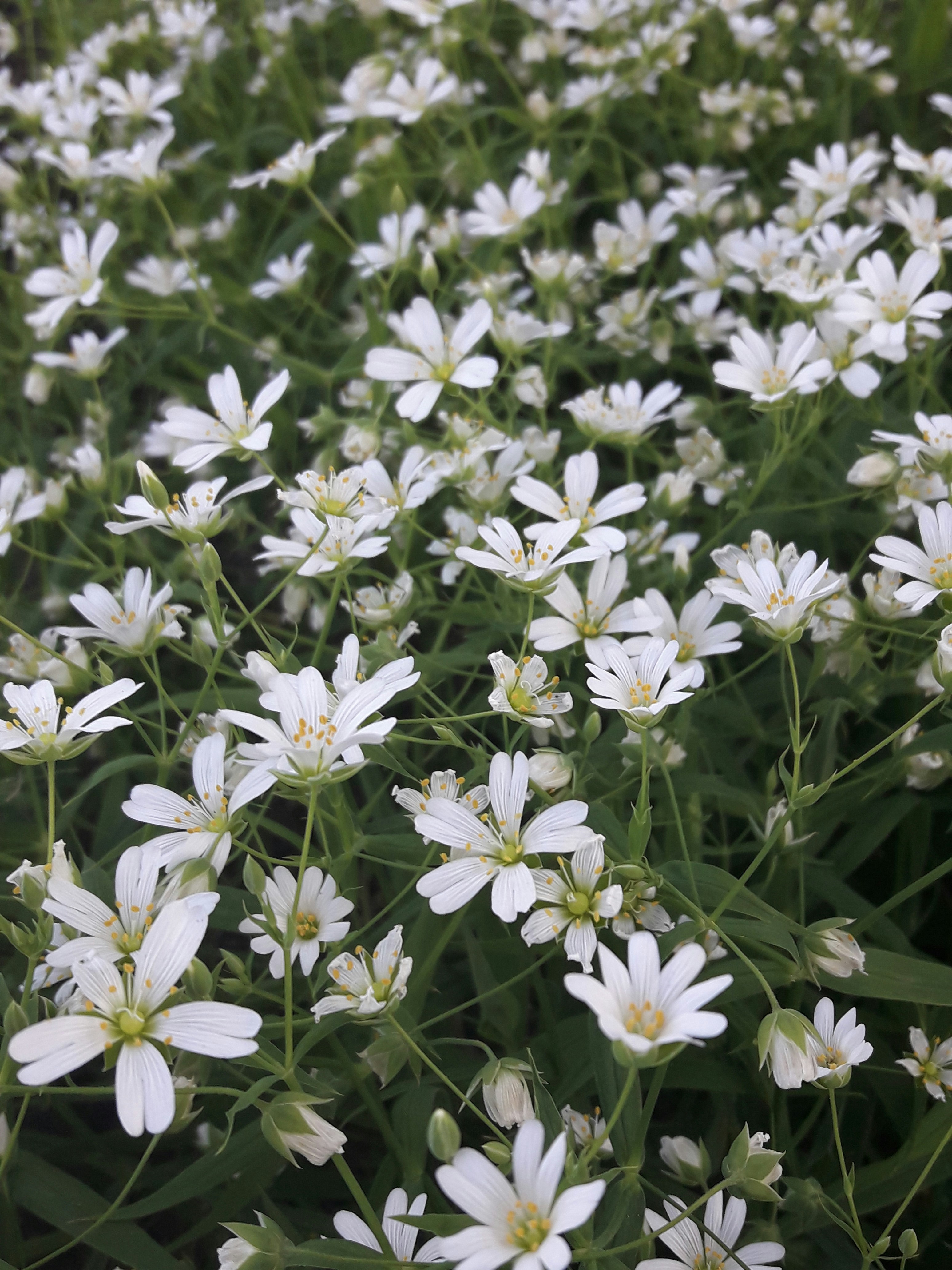 Photo by tatjanatapero