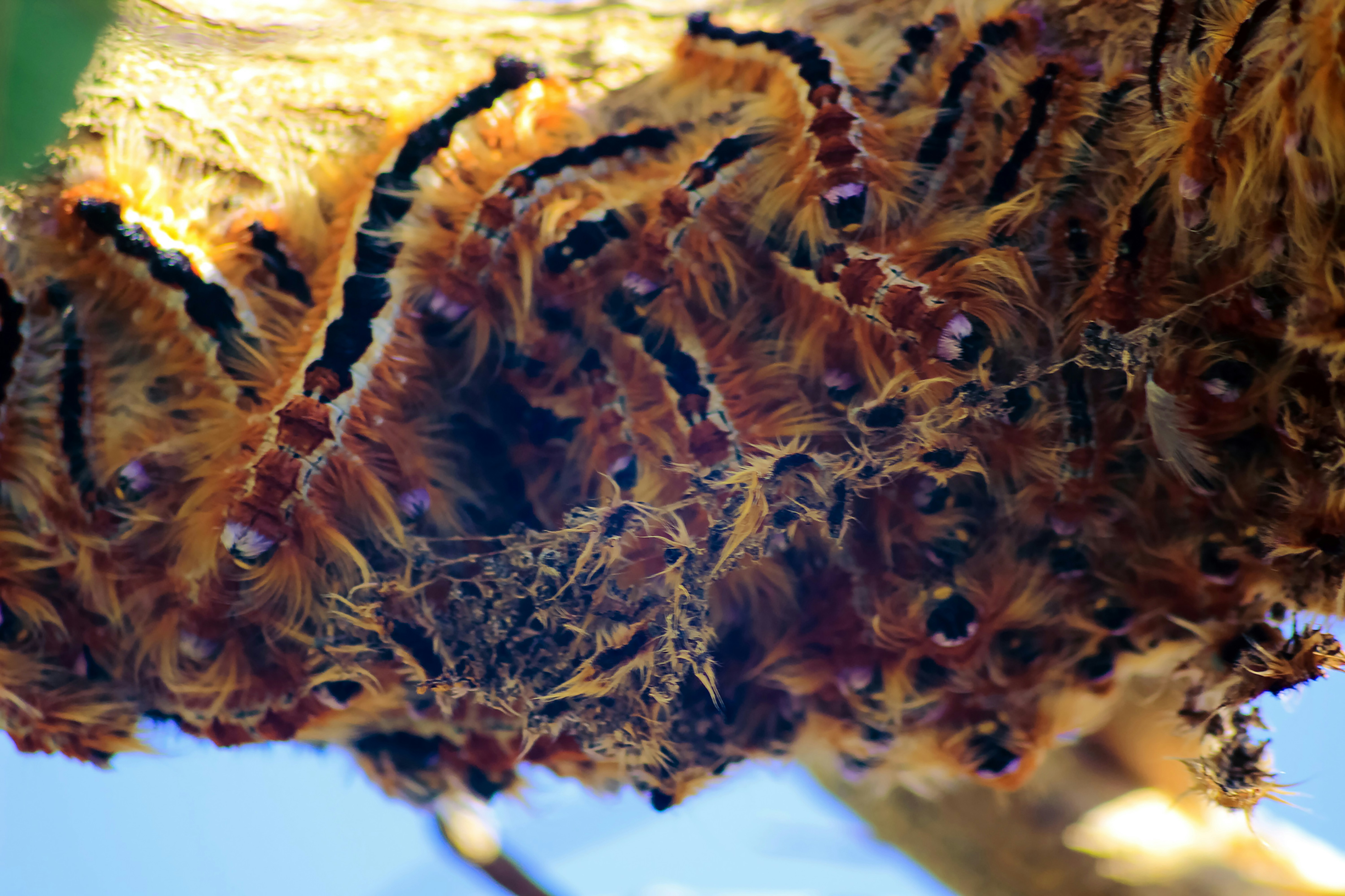 Photo by ntgraphicdesignsa