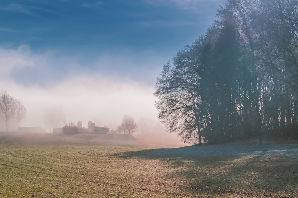 a foggy field with a house in the distance