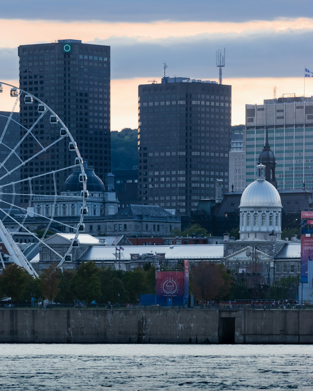 a ferris wheel in front of a city skyline