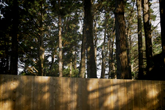 Point Grey Privacy Fence