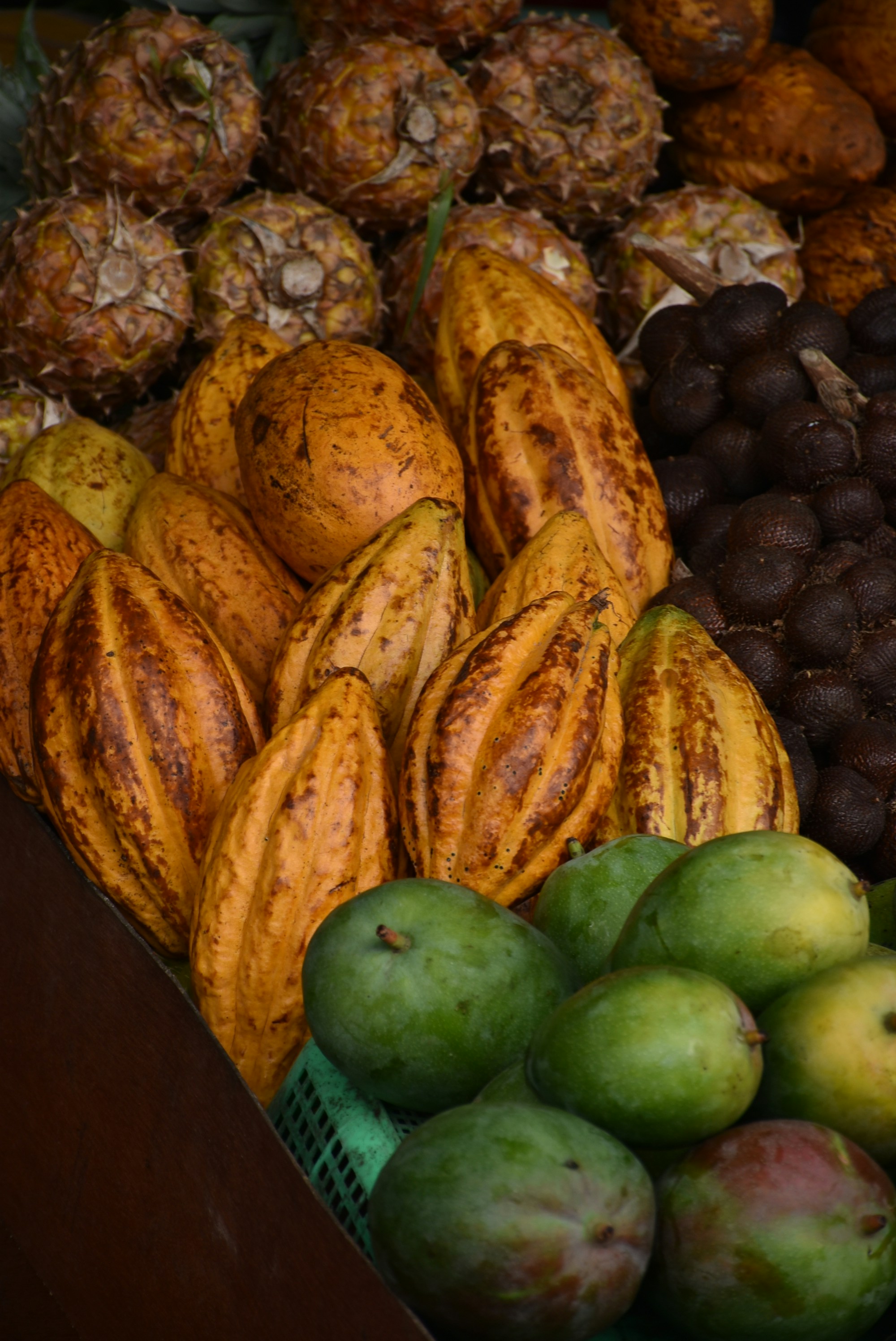 A bunch of fruits that are sitting on a table photo – Free Indonesia ...
