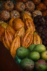 A variety of tropical fruits are displayed in close arrangement, including pineapples, cacao pods, and green mangoes. The fruits are layered in rows, showcasing their distinct colors and textures.