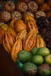 A variety of tropical fruits are displayed in close arrangement, including pineapples, cacao pods, and green mangoes. The fruits are layered in rows, showcasing their distinct colors and textures.