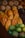 A variety of tropical fruits are displayed in close arrangement, including pineapples, cacao pods, and green mangoes. The fruits are layered in rows, showcasing their distinct colors and textures.