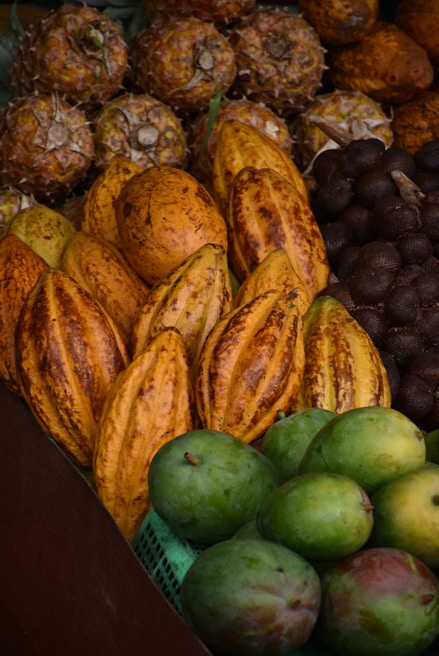Rows of freshly harvested exotic fruits laid out under the warm Colombian sun