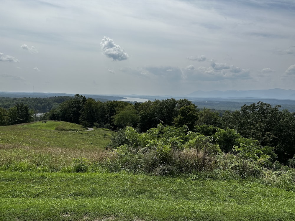 a grassy hill with trees and a lake in the distance