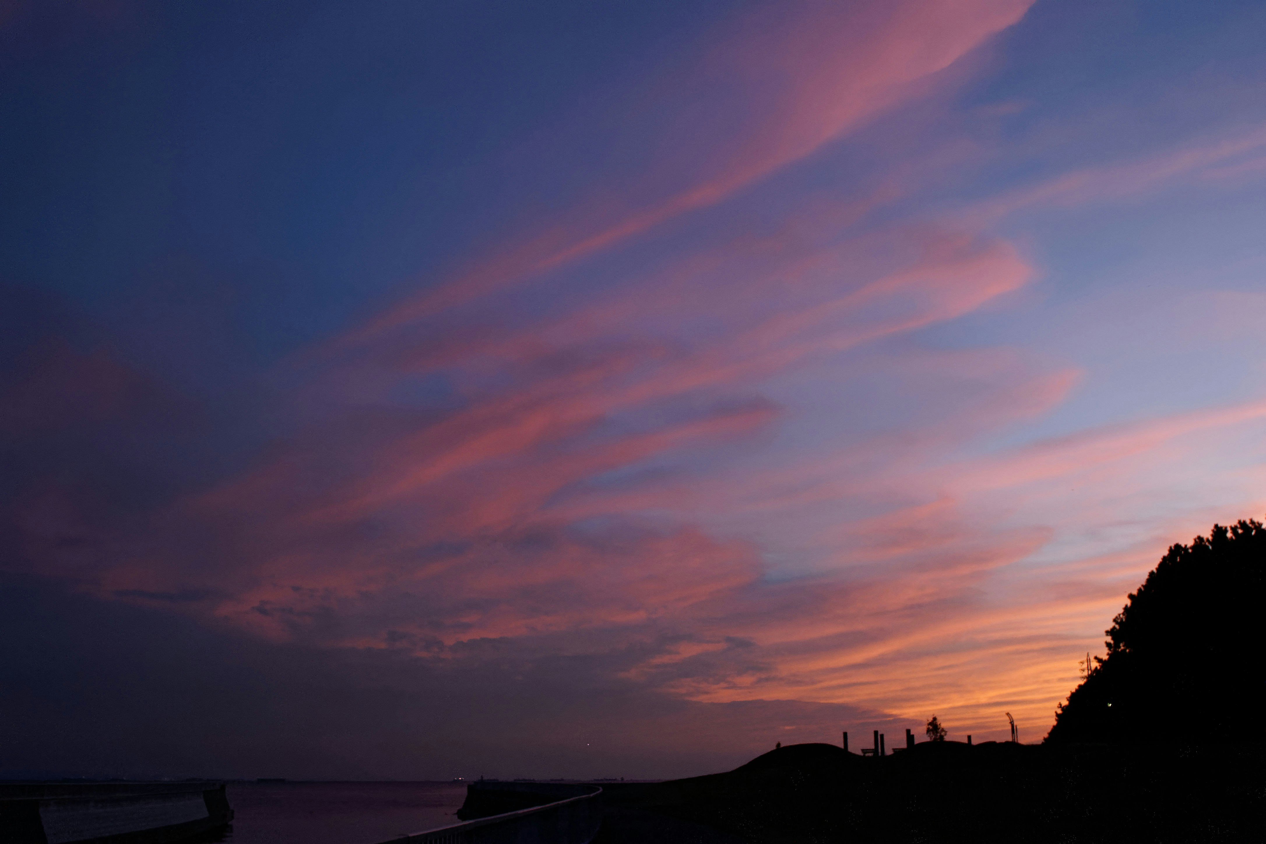 Photo by da_shika_photo